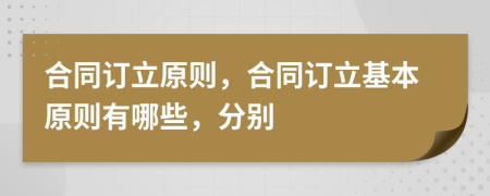 合同訂立原則，合同訂立基本原則有哪些，分別