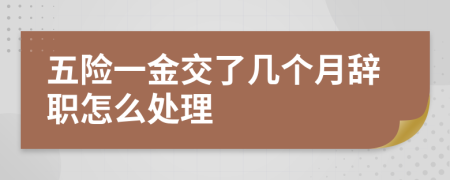 五險(xiǎn)一金交了幾個(gè)月辭職怎么處理