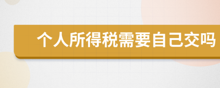 個(gè)人所得稅需要自己交嗎