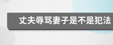 丈夫辱罵妻子是不是犯法