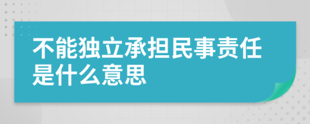 不能獨(dú)立承擔(dān)民事責(zé)任是什么意思