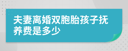 夫妻離婚雙胞胎孩子撫養(yǎng)費(fèi)是多少