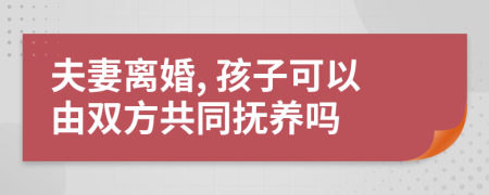 夫妻離婚, 孩子可以由雙方共同撫養(yǎng)嗎