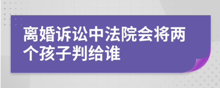 離婚訴訟中法院會(huì)將兩個(gè)孩子判給誰(shuí)