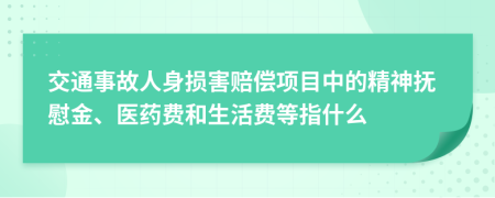 交通事故人身損害賠償項目中的精神撫慰金、醫(yī)藥費和生活費等指什么