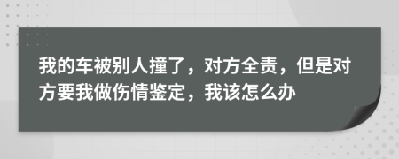 我的車被別人撞了，對方全責，但是對方要我做傷情鑒定，我該怎么辦