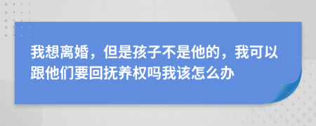 我想離婚，但是孩子不是他的，我可以跟他們要回?fù)狃B(yǎng)權(quán)嗎我該怎么辦