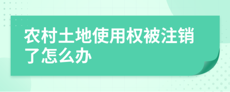 農(nóng)村土地使用權(quán)被注銷了怎么辦