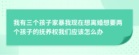我有三個孩子家暴我現在想離婚想要兩個孩子的撫養(yǎng)權我們應該怎么辦