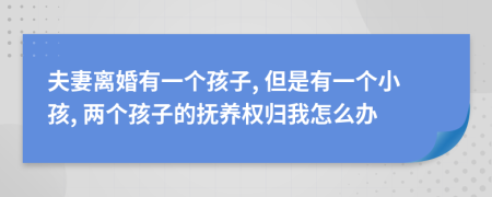 夫妻離婚有一個(gè)孩子, 但是有一個(gè)小孩, 兩個(gè)孩子的撫養(yǎng)權(quán)歸我怎么辦