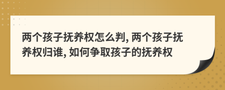 兩個(gè)孩子撫養(yǎng)權(quán)怎么判, 兩個(gè)孩子撫養(yǎng)權(quán)歸誰, 如何爭取孩子的撫養(yǎng)權(quán)