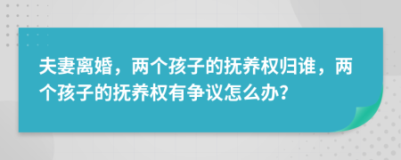 夫妻离婚，两个孩子的抚养权归谁，两个孩子的抚养权有争议怎么办？