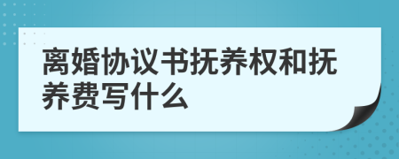 離婚協(xié)議書(shū)撫養(yǎng)權(quán)和撫養(yǎng)費(fèi)寫(xiě)什么