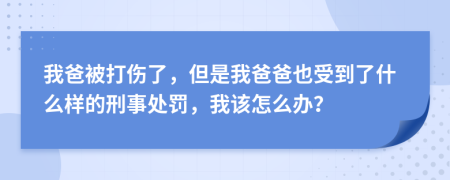 我爸被打傷了，但是我爸爸也受到了什么樣的刑事處罰，我該怎么辦？