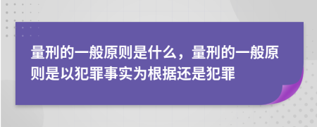 量刑的一般原則是什么，量刑的一般原則是以犯罪事實(shí)為根據(jù)還是犯罪