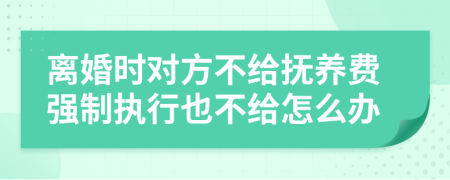 離婚時(shí)對(duì)方不給撫養(yǎng)費(fèi)強(qiáng)制執(zhí)行也不給怎么辦