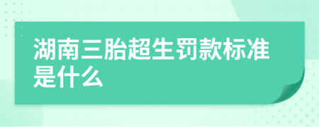湖南三胎超生罰款標(biāo)準(zhǔn)是什么