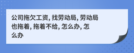 公司拖欠工資, 找勞動(dòng)局, 勞動(dòng)局也拖著(zhù), 拖著(zhù)不給, 怎么辦, 怎么辦