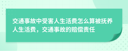 交通事故中受害人生活費(fèi)怎么算被撫養(yǎng)人生活費(fèi)，交通事故的賠償責(zé)任