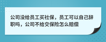 公司沒給員工買社保，員工可以自己辭職嗎，公司不給交保險(xiǎn)怎么賠償