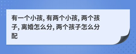 有一個小孩, 有兩個小孩, 兩個孩子, 離婚怎么分, 兩個孩子怎么分配