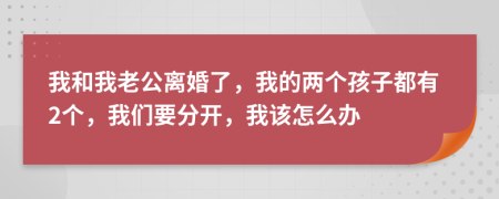 我和我老公離婚了，我的兩個孩子都有2個，我們要分開，我該怎么辦