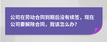 公司在勞動合同到期后沒有續(xù)簽，現(xiàn)在公司要解除合同，我該怎么辦？