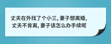 丈夫在外找了個小三, 妻子想離婚, 丈夫不肯離, 妻子該怎么辦手續(xù)呢