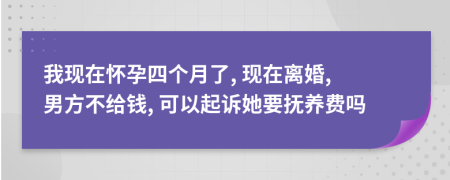 我現(xiàn)在懷孕四個(gè)月了, 現(xiàn)在離婚, 男方不給錢, 可以起訴她要撫養(yǎng)費(fèi)嗎
