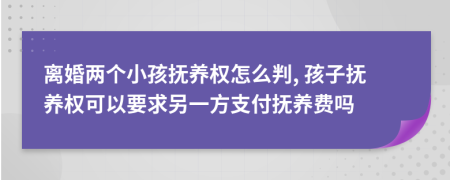 離婚兩個(gè)小孩撫養(yǎng)權(quán)怎么判, 孩子撫養(yǎng)權(quán)可以要求另一方支付撫養(yǎng)費(fèi)嗎
