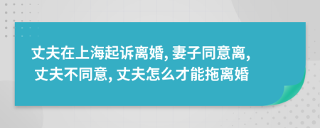 丈夫在上海起訴離婚, 妻子同意離, 丈夫不同意, 丈夫怎么才能拖離婚