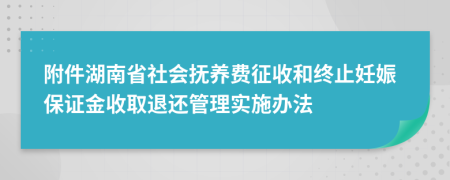 附件湖南省社會撫養(yǎng)費征收和終止妊娠保證金收取退還管理實施辦法
