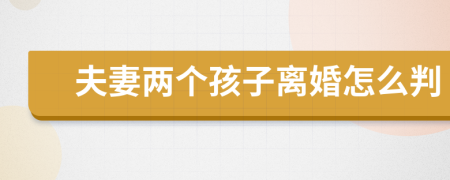 夫妻兩個(gè)孩子離婚怎么判