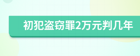 初犯盜竊罪2萬元判幾年