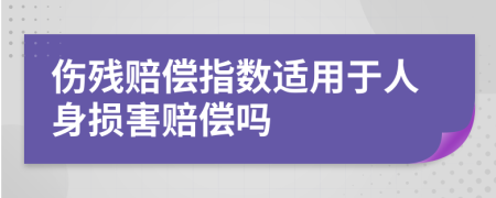 伤残赔偿指数适用于人身损害赔偿吗