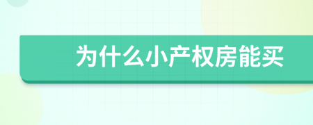 為什么小產(chǎn)權(quán)房能買