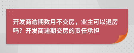 開發(fā)商逾期數(shù)月不交房，業(yè)主可以退房嗎？開發(fā)商逾期交房的責(zé)任承擔(dān)
