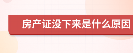 房產(chǎn)證沒(méi)下來(lái)是什么原因