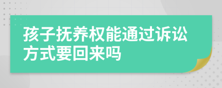 孩子撫養(yǎng)權(quán)能通過訴訟方式要回來嗎