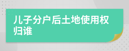 兒子分戶后土地使用權歸誰