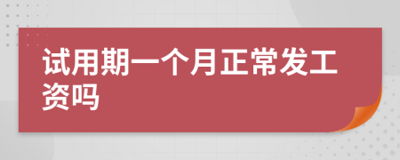 試用期一個(gè)月正常發(fā)工資嗎