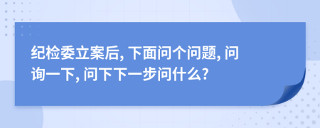 紀檢委立案后, 下面問個問題, 問詢一下, 問下下一步問什么?