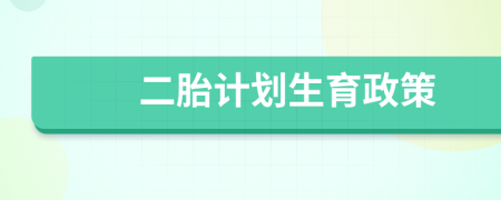 二胎計(jì)劃生育政策
