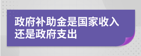 政府補(bǔ)助金是國家收入還是政府支出