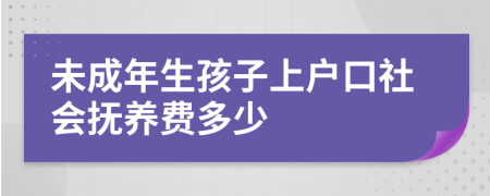 未成年生孩子上戶口社會撫養(yǎng)費多少