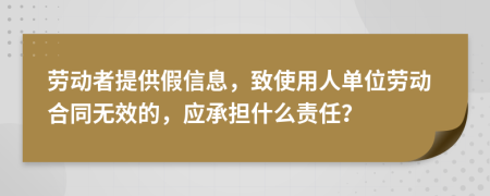 勞動(dòng)者提供假信息，致使用人單位勞動(dòng)合同無效的，應(yīng)承擔(dān)什么責(zé)任？
