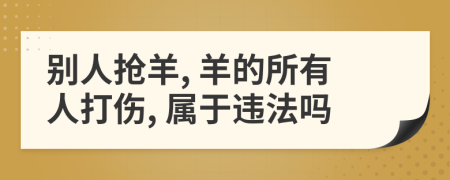 別人搶羊, 羊的所有人打傷, 屬于違法嗎