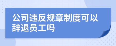 公司違反規(guī)章制度可以辭退員工嗎