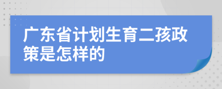 廣東省計(jì)劃生育二孩政策是怎樣的