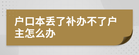 戶口本丟了補(bǔ)辦不了戶主怎么辦
